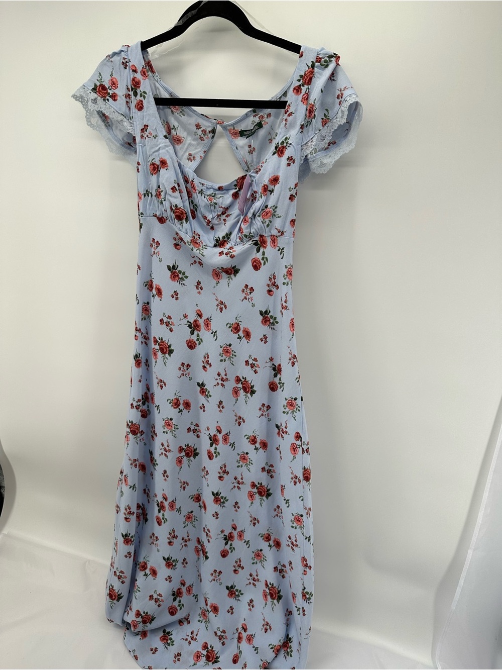 wild fable Light Blue Floral Midi Dress with Red Rose Print